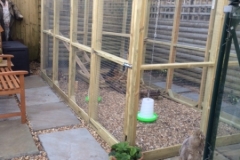 chicken-run-pressure-treated-d