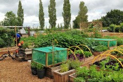 raised-beds-2